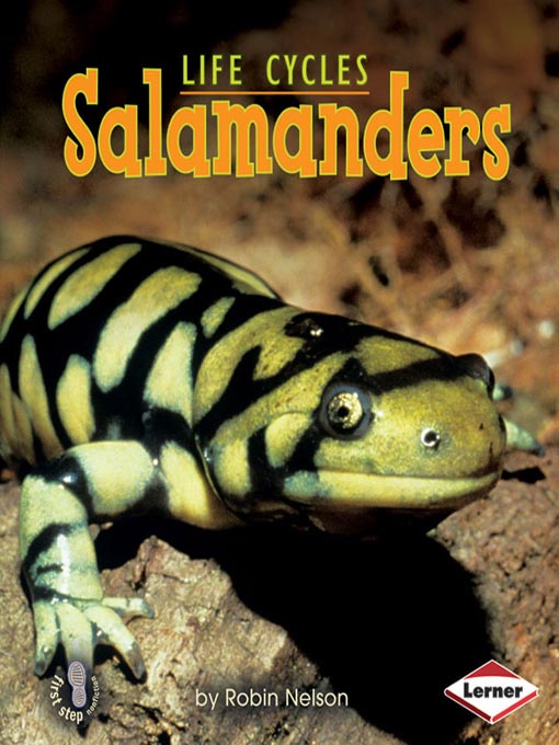Title details for Salamanders by Robin Nelson - Available